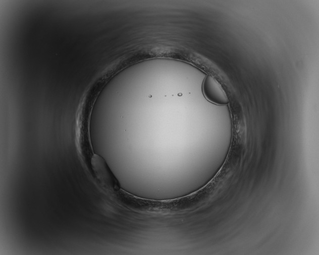 X0000087570732200705181142