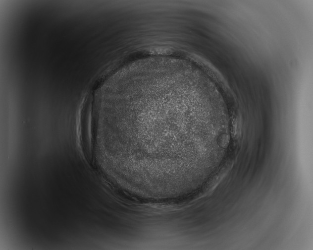 X0000087570733200705181142