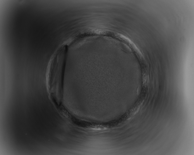 X0000087570736200705181142