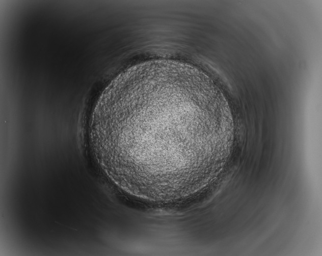 X0000087570737200705181142