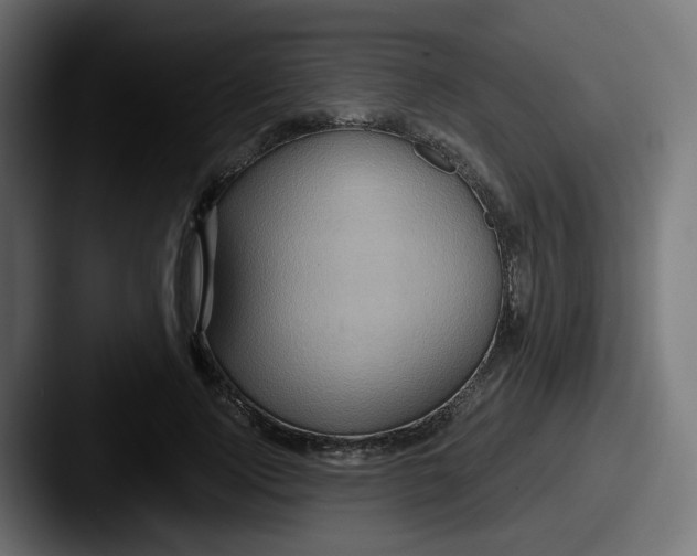 X0000087570740200705181142