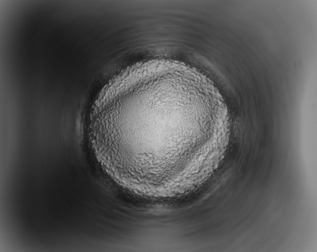 X0000087570741200705181142