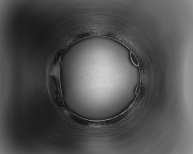 X0000087570742200705181142