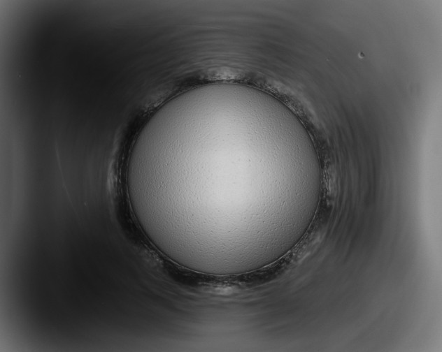 X0000087570743200705181142