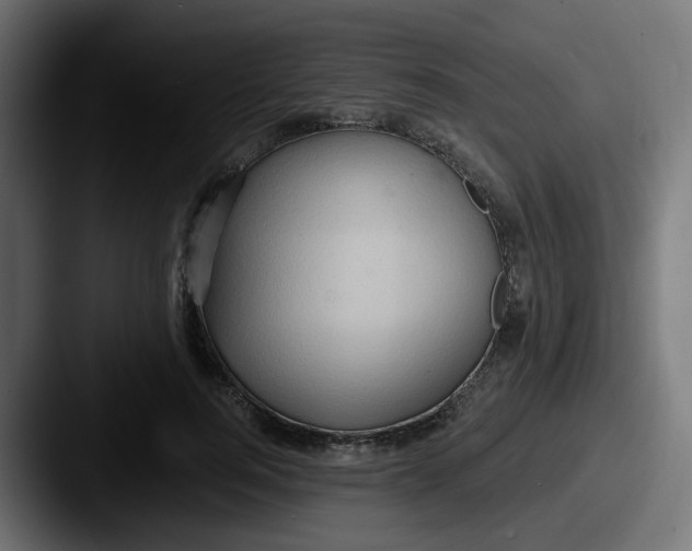 X0000087570744200705181142