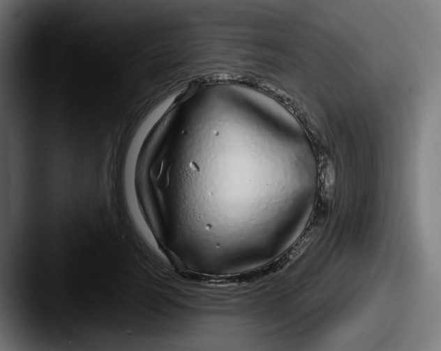 X0000087570746200705181142