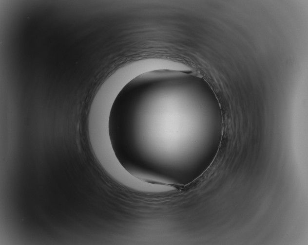 X0000087570750200705181142