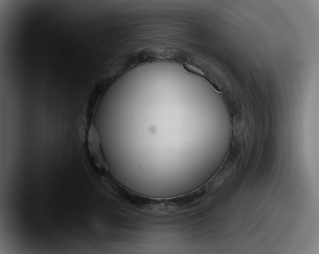 X0000087570752200705181142