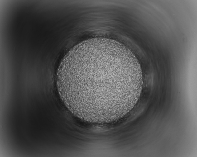 X0000087570753200705181142