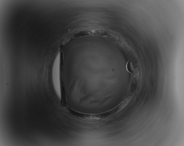 X0000087570754200705181142