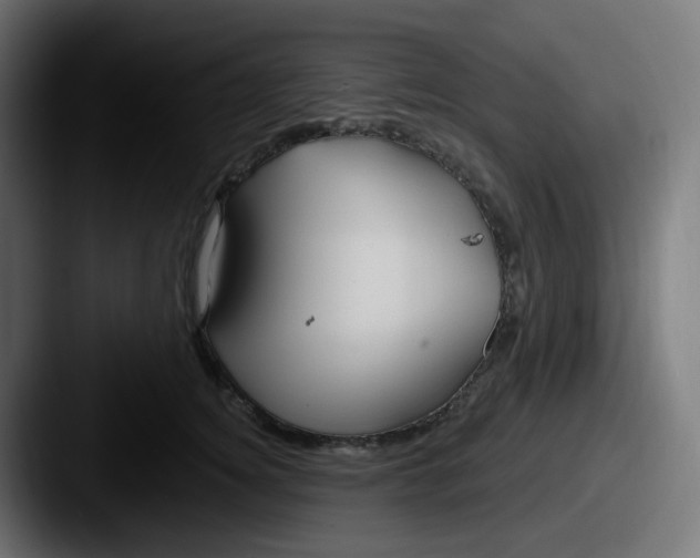 X0000087570756200705181142