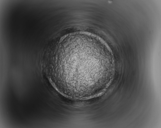 X0000087570757200705181142