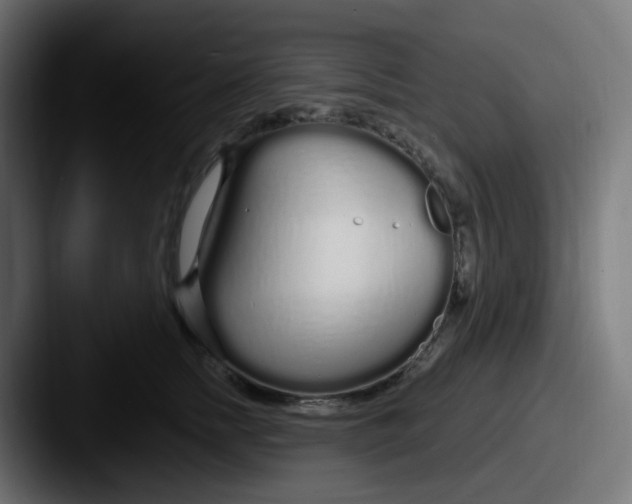 X0000087570758200705181142