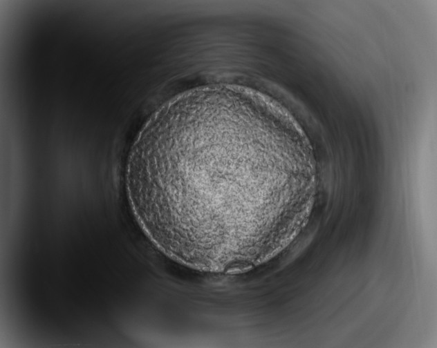 X0000087570761200705181142