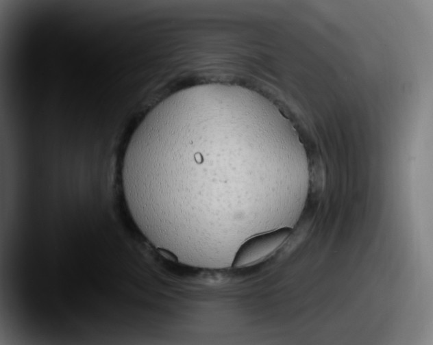 X0000087570764200705181142