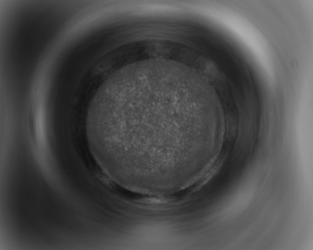 X0000087570765200705181142