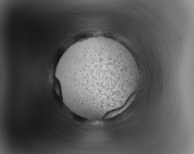 X0000087570768200705181142