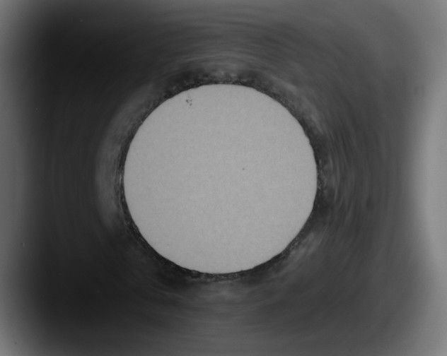 X0000087570769200705181142