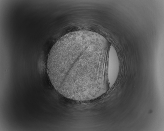 X0000087570772200705181142