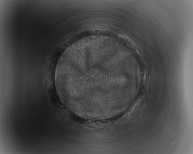 X0000087570774200705181142