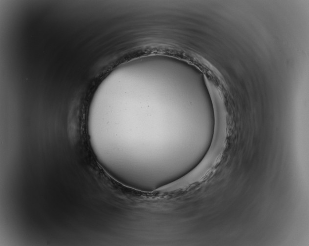 X0000087570775200705181142