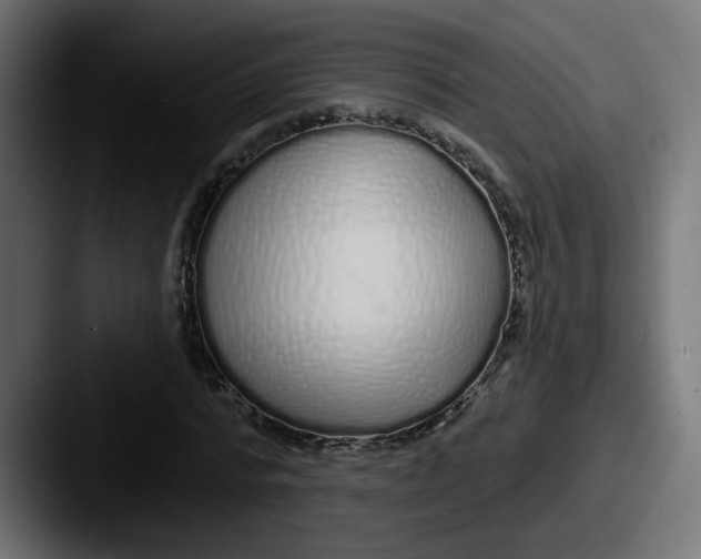 X0000087570776200705181142