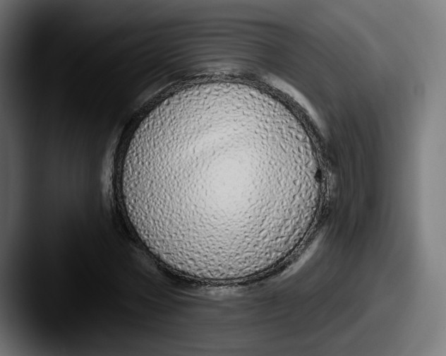 X0000087570778200705181142