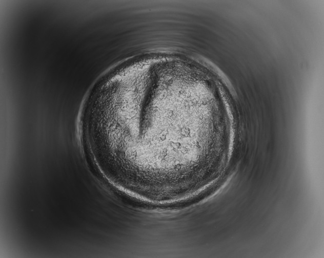 X0000087570779200705181142