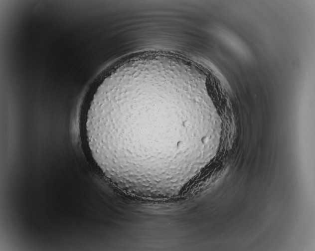 X0000087570780200705181142