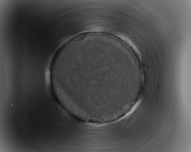 X0000087570781200705181142