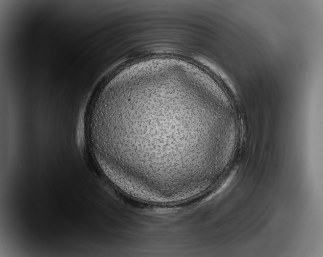 X0000087570782200705181142