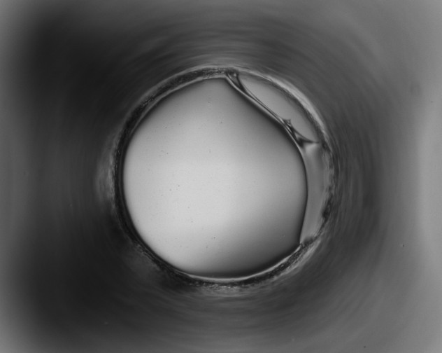 X0000087570783200705181142