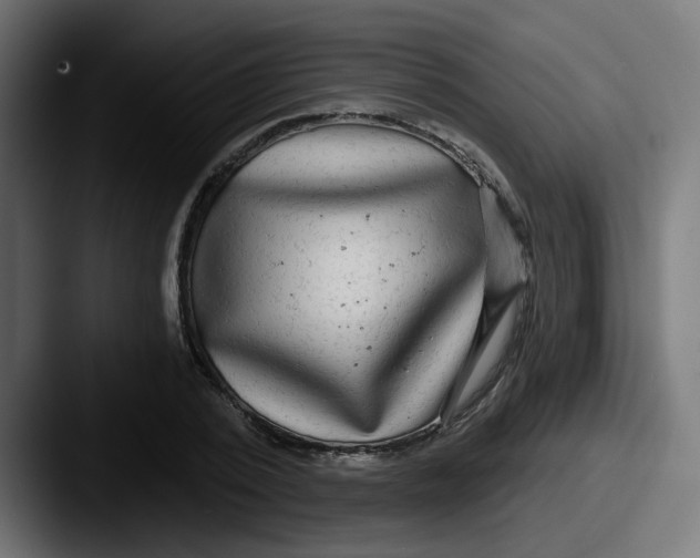 X0000087570784200705181142