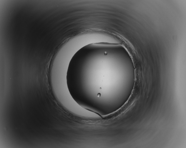 X0000087570785200705181142