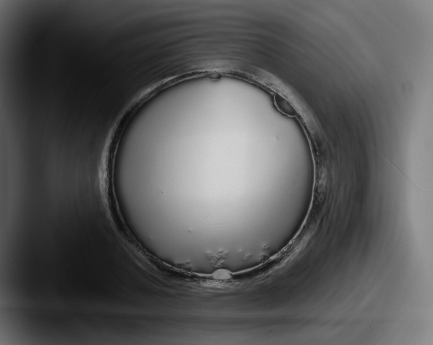 X0000087570787200705181142