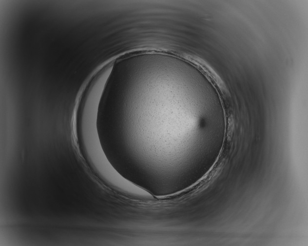 X0000087570788200705181142