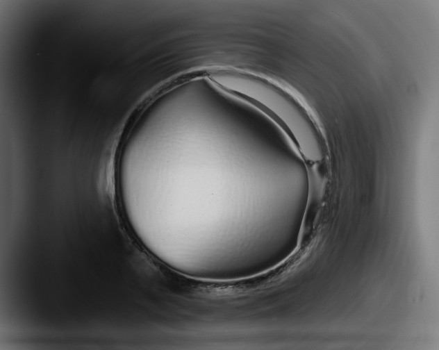 X0000087570791200705181142