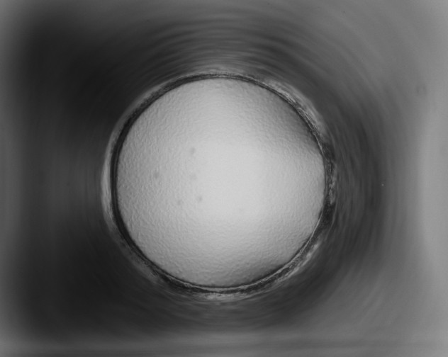 X0000087570796200705181142