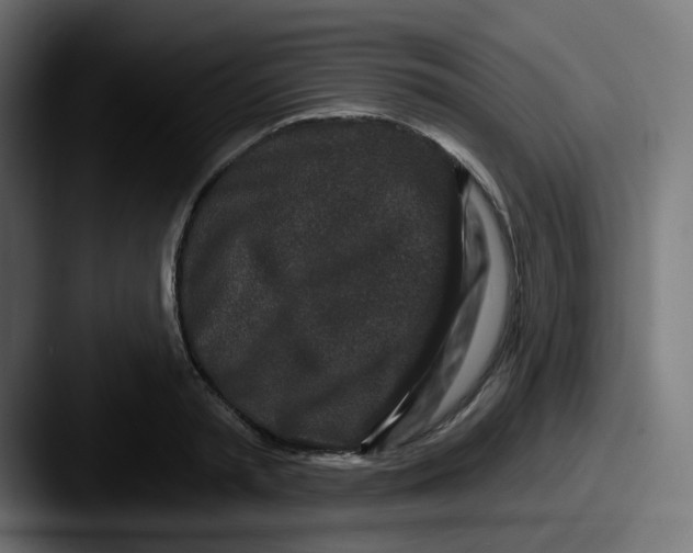 X0000087570797200705181142