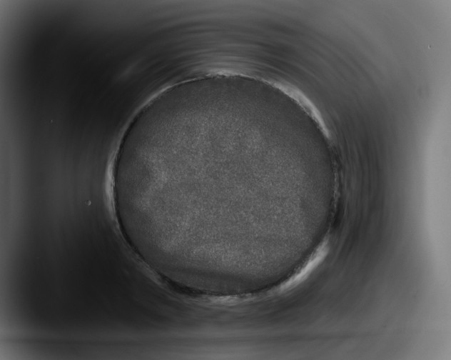 X0000087570798200705181142