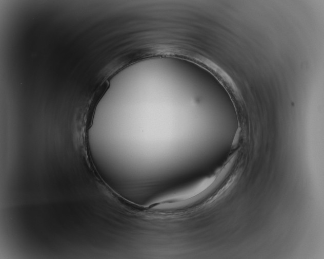 X0000087570801200705181142