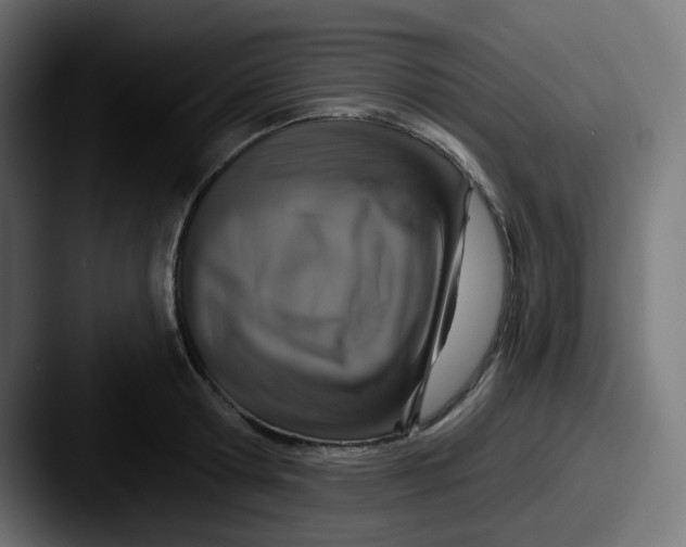 X0000087570802200705181142