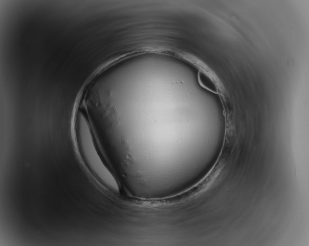 X0000087570803200705181141