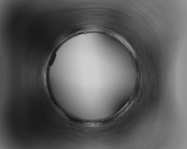 X0000087570805200705181141