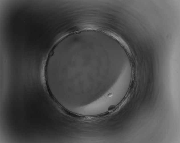 X0000087570806200705181141