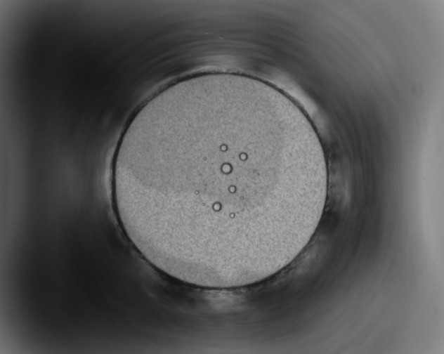 X0000087570807200705181141