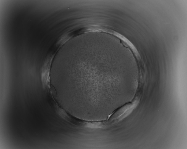 X0000087570809200705181141