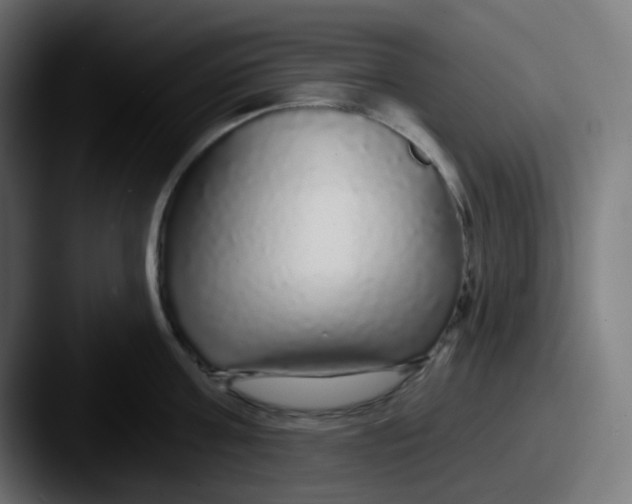 X0000087570811200705181141