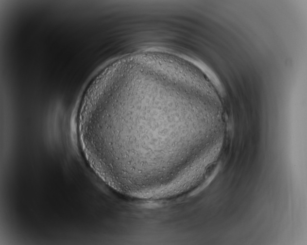 X0000087570814200705181141