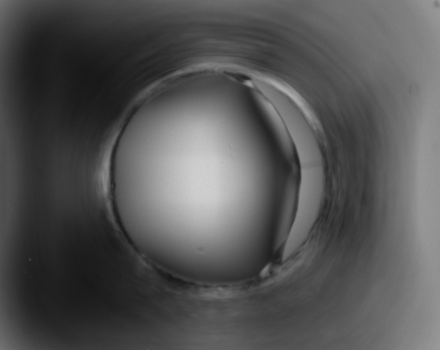 X0000087570815200705181141